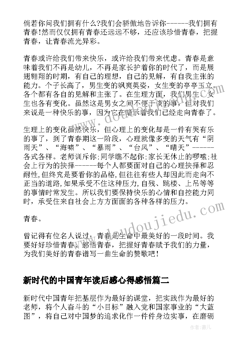 最新新时代的中国青年读后感心得感悟 新时代中国青年读后感心得体会(通用5篇)