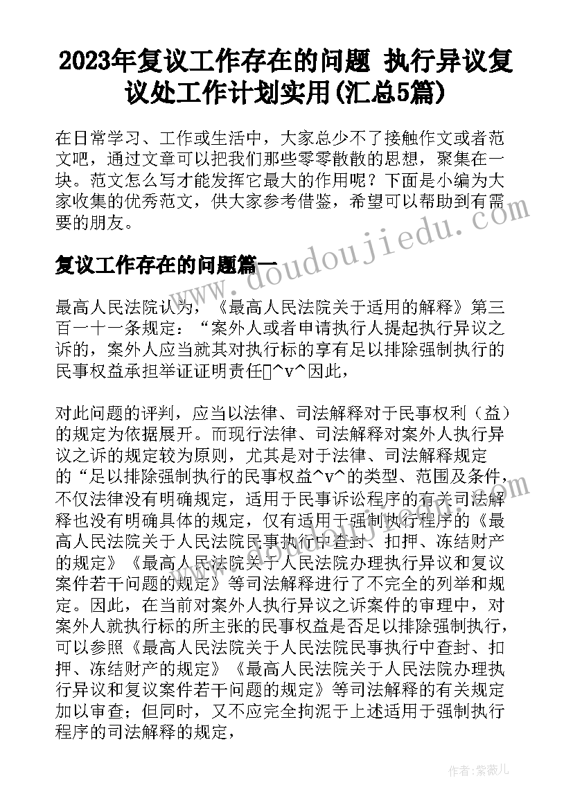 2023年复议工作存在的问题 执行异议复议处工作计划实用(汇总5篇)