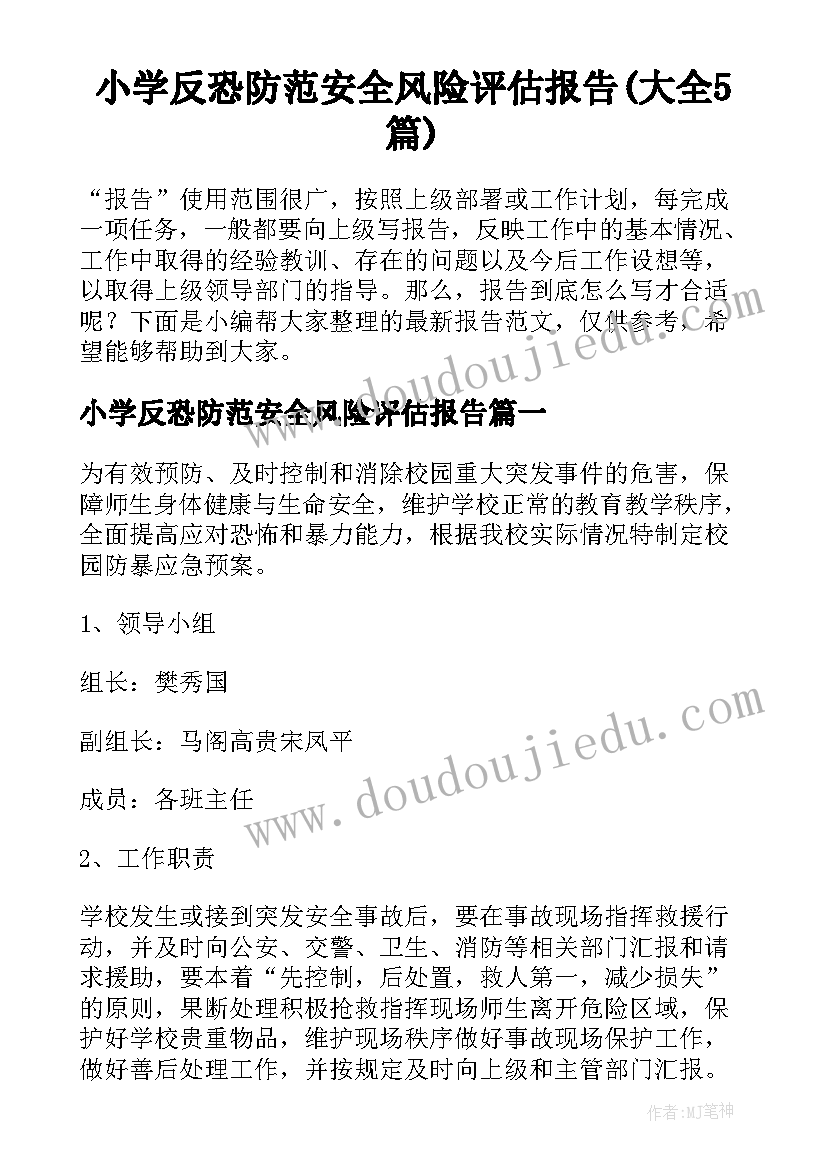 小学反恐防范安全风险评估报告(大全5篇)