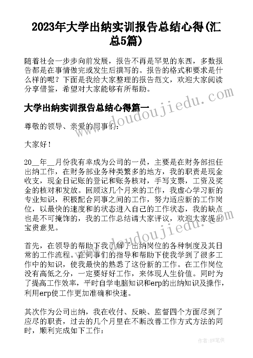 2023年大学出纳实训报告总结心得(汇总5篇)