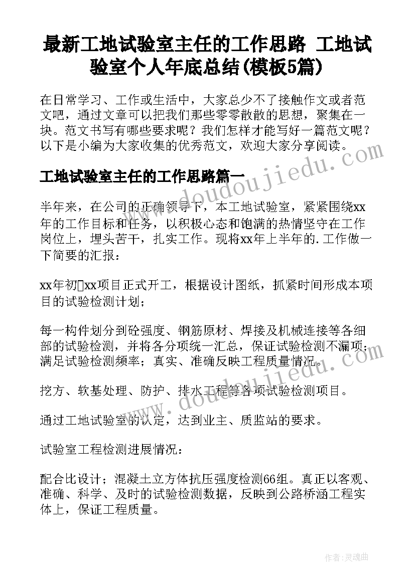 最新工地试验室主任的工作思路 工地试验室个人年底总结(模板5篇)