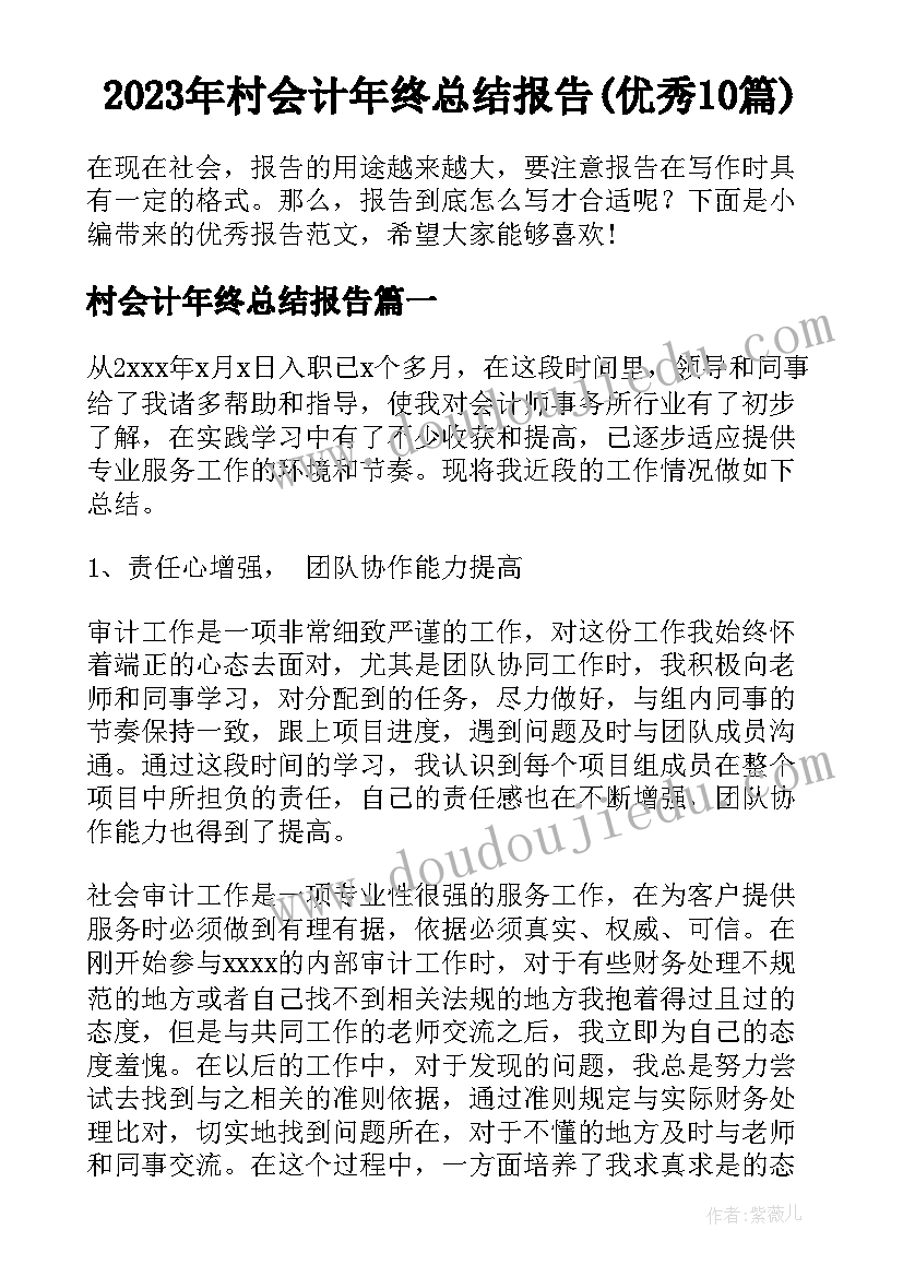 2023年村会计年终总结报告(优秀10篇)