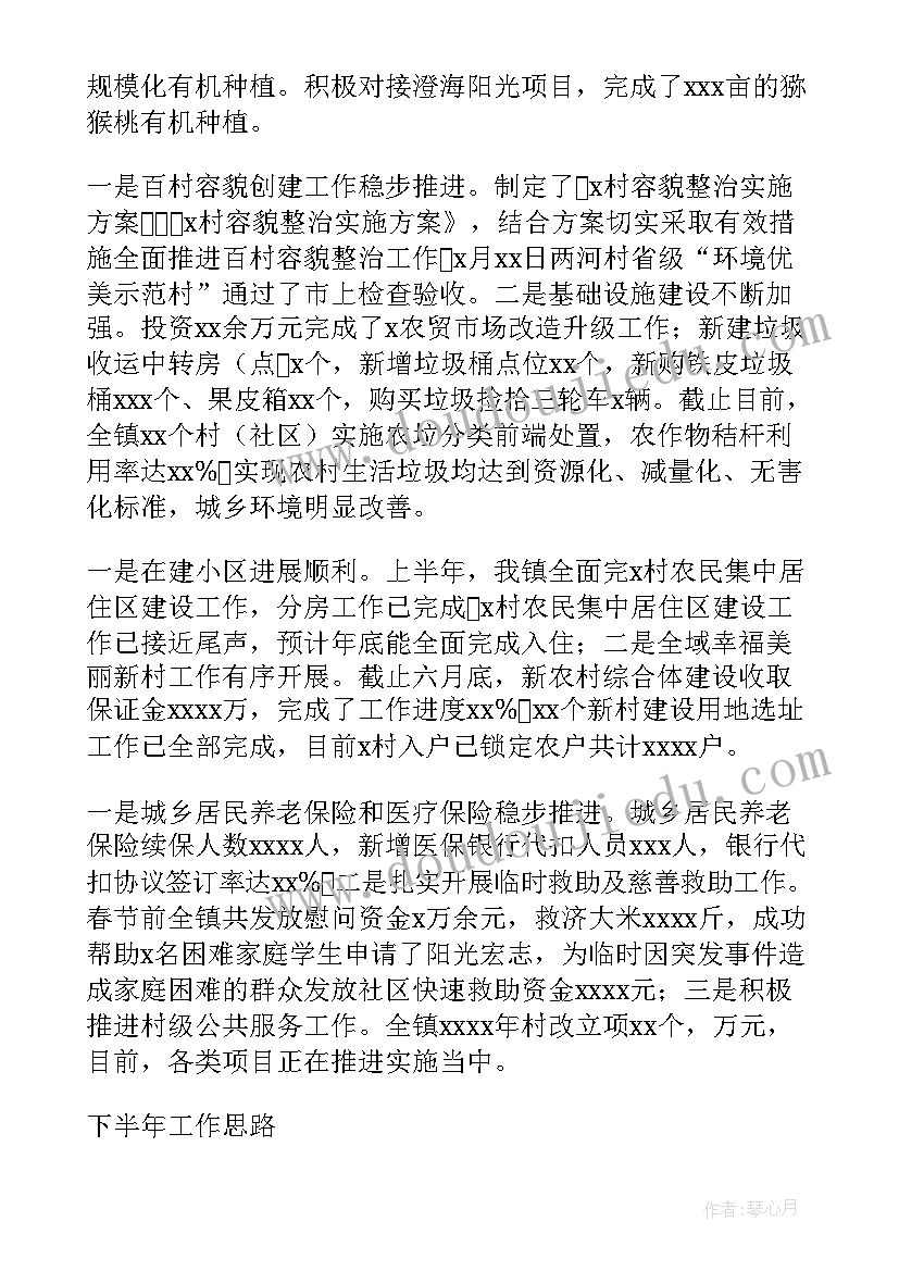 乡镇民政工作安排 乡镇上半年工作总结和下半年工作计划(优秀8篇)