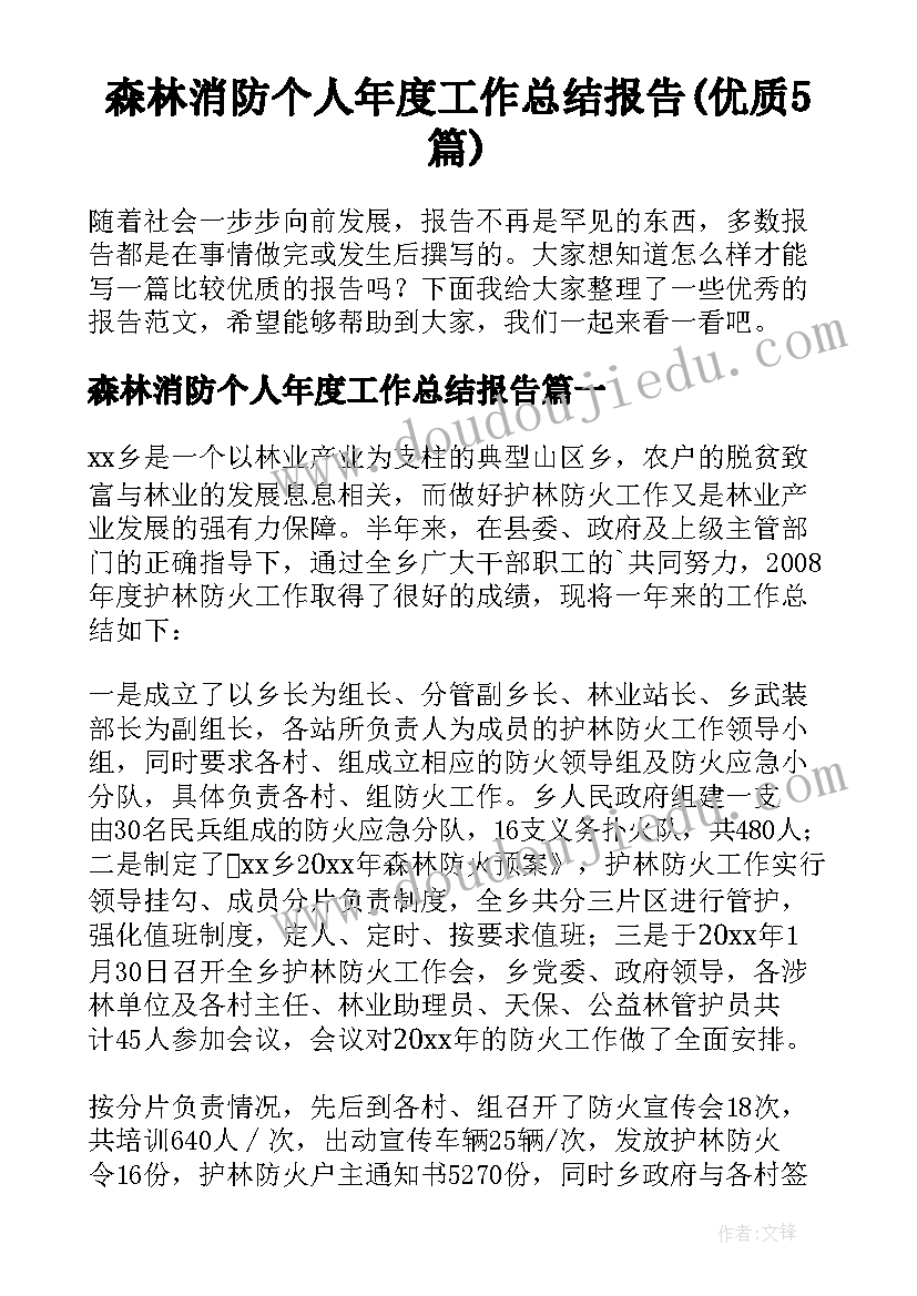 森林消防个人年度工作总结报告(优质5篇)