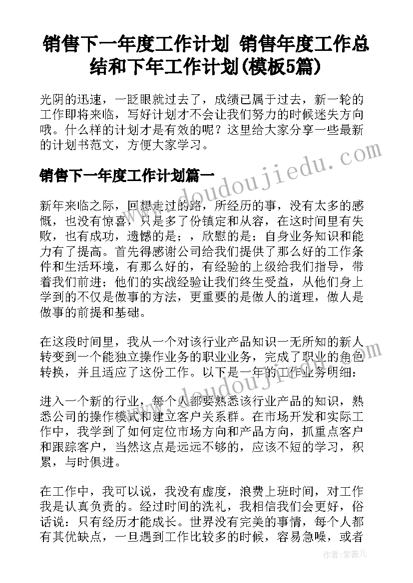 销售下一年度工作计划 销售年度工作总结和下年工作计划(模板5篇)