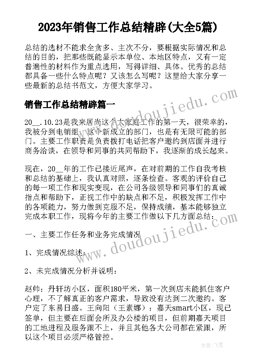 2023年销售工作总结精辟(大全5篇)