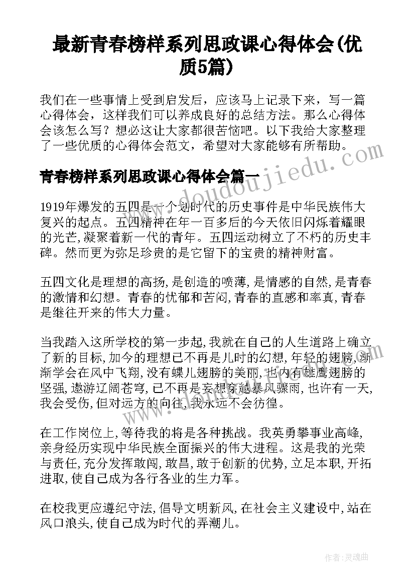 最新青春榜样系列思政课心得体会(优质5篇)