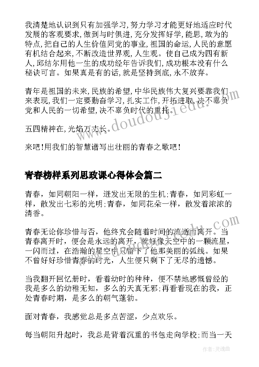 最新青春榜样系列思政课心得体会(优质5篇)