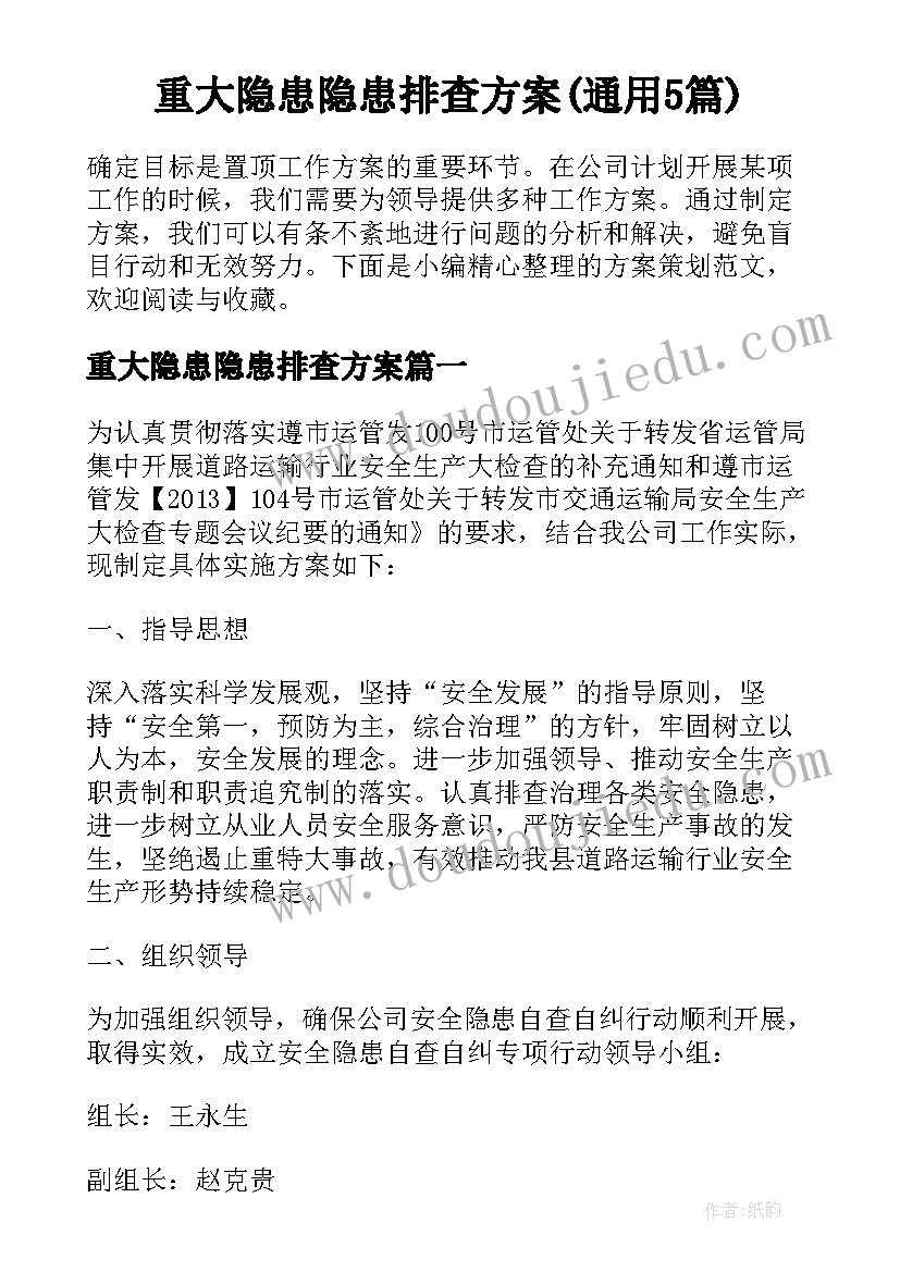 重大隐患隐患排查方案(通用5篇)