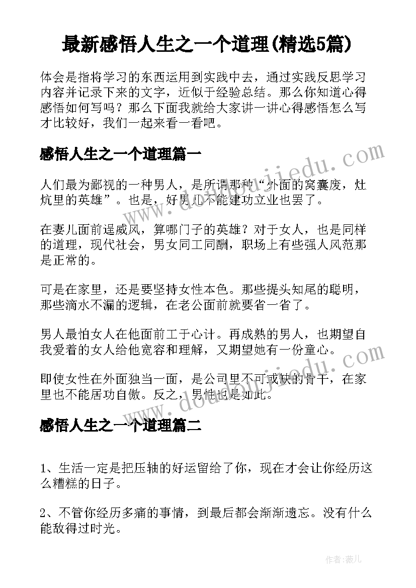 最新感悟人生之一个道理(精选5篇)