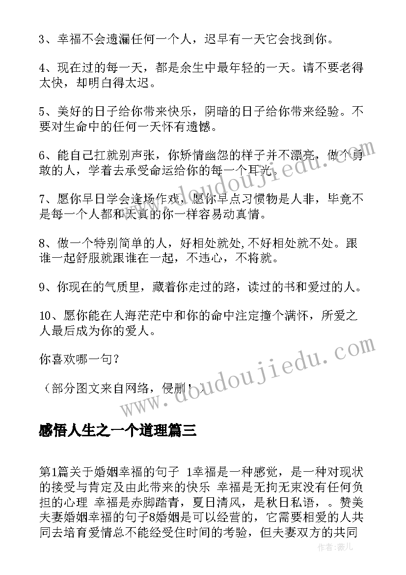 最新感悟人生之一个道理(精选5篇)