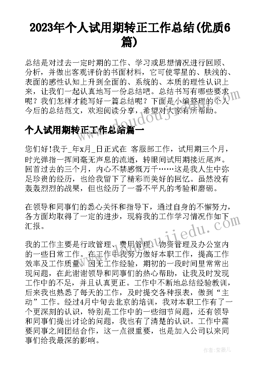 2023年个人试用期转正工作总结(优质6篇)