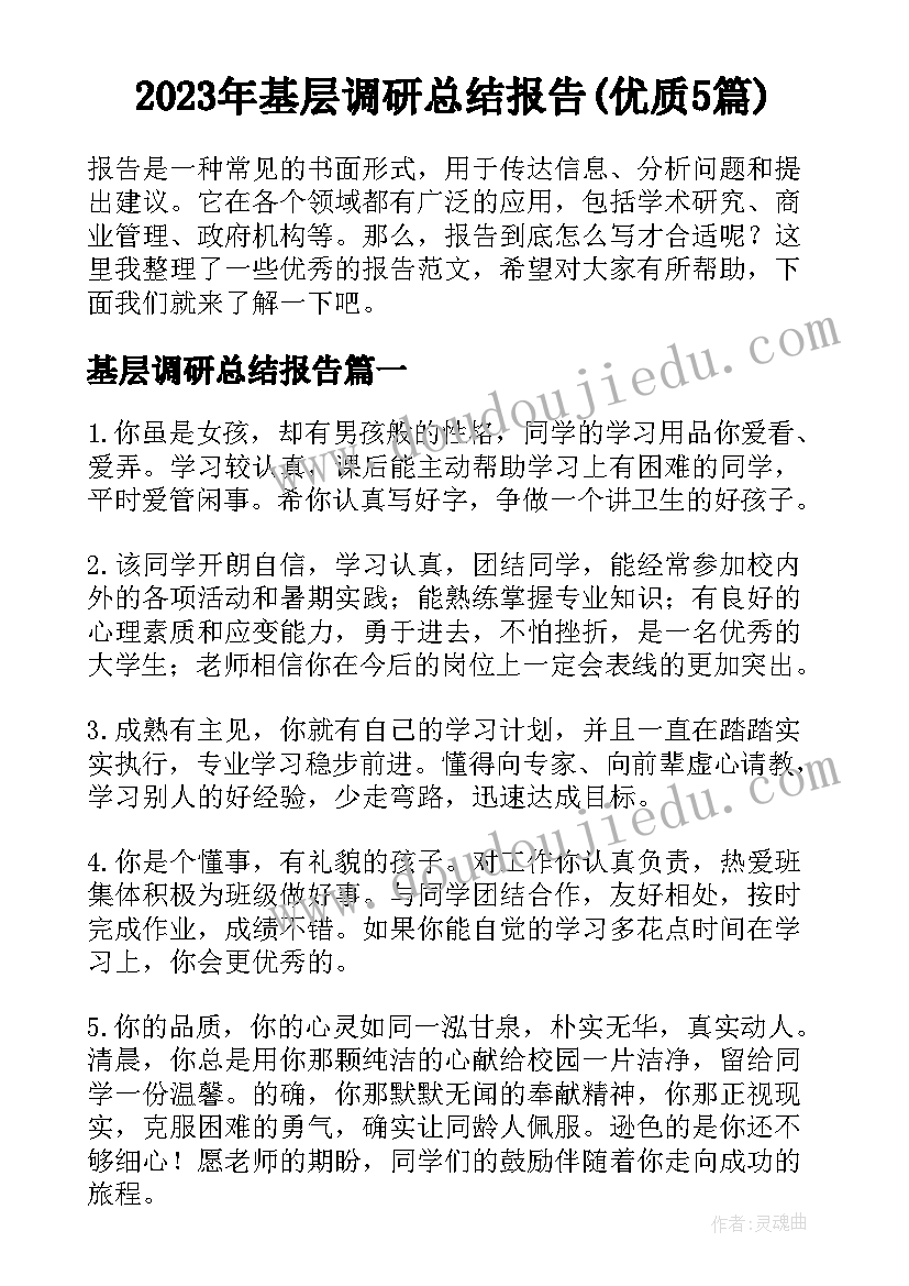 2023年基层调研总结报告(优质5篇)