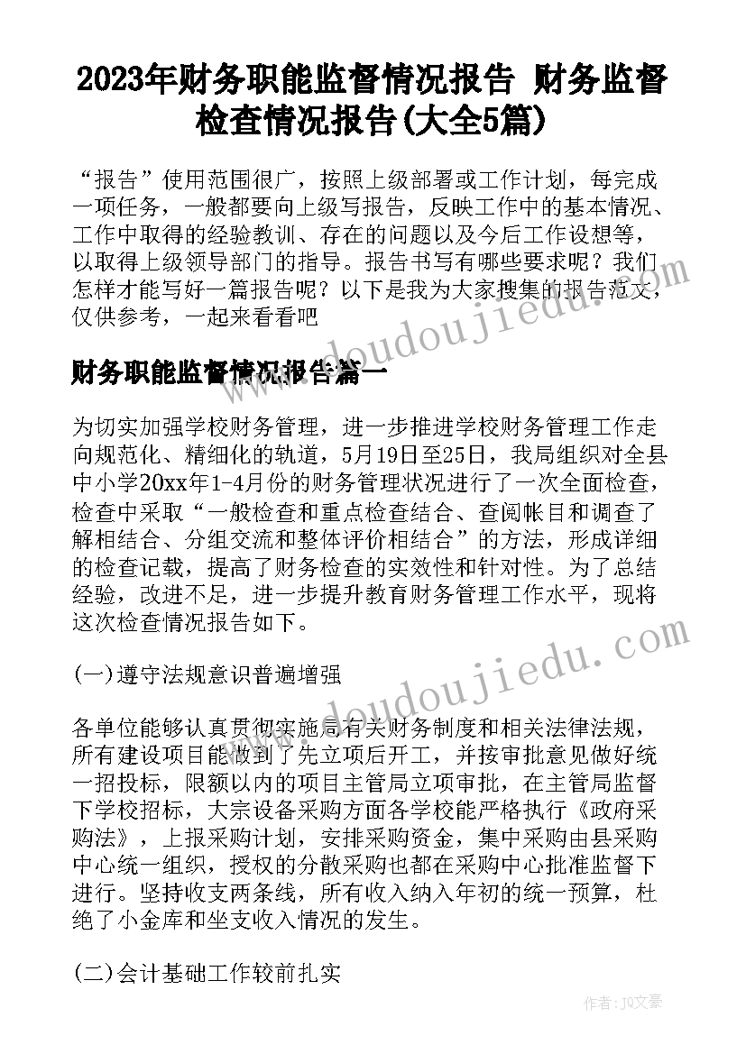 2023年财务职能监督情况报告 财务监督检查情况报告(大全5篇)