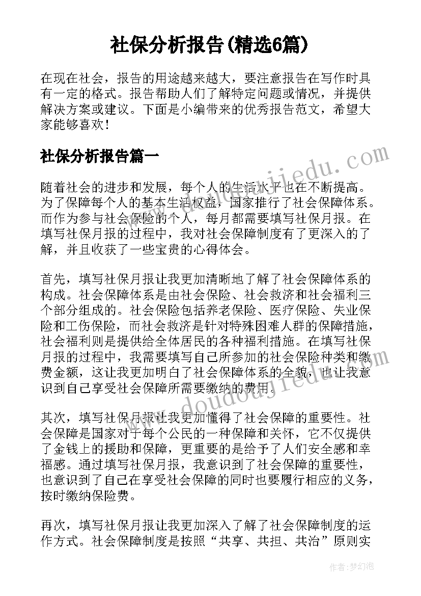 社保分析报告(精选6篇)