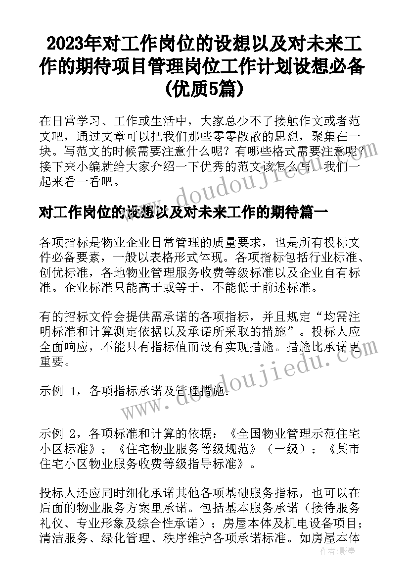 2023年对工作岗位的设想以及对未来工作的期待 项目管理岗位工作计划设想必备(优质5篇)