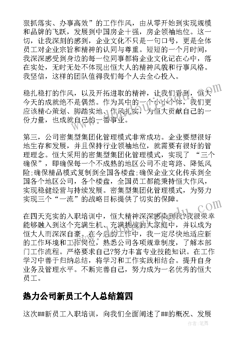 2023年热力公司新员工个人总结(汇总5篇)