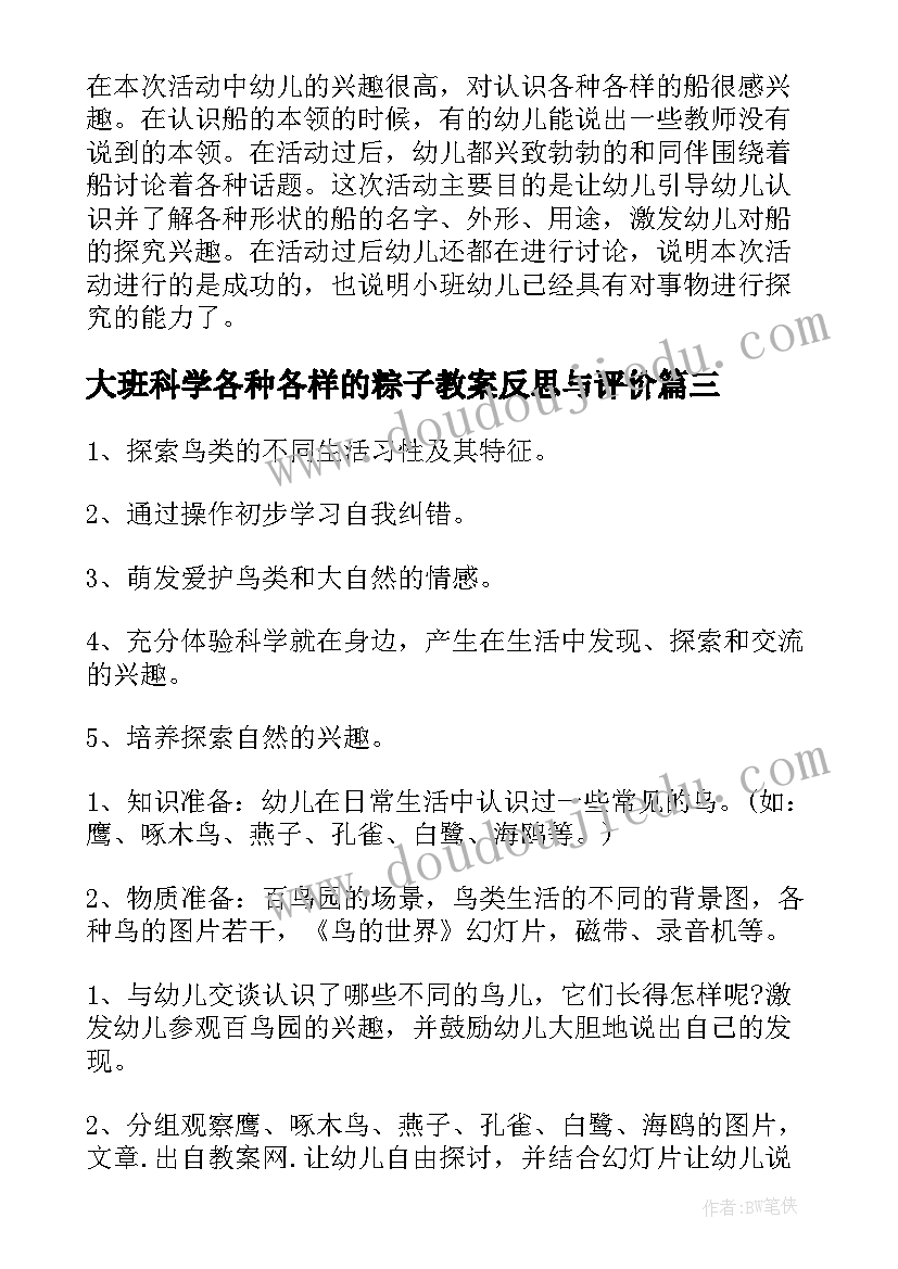 最新大班科学各种各样的粽子教案反思与评价 大班科学各种各样教案反思(实用5篇)