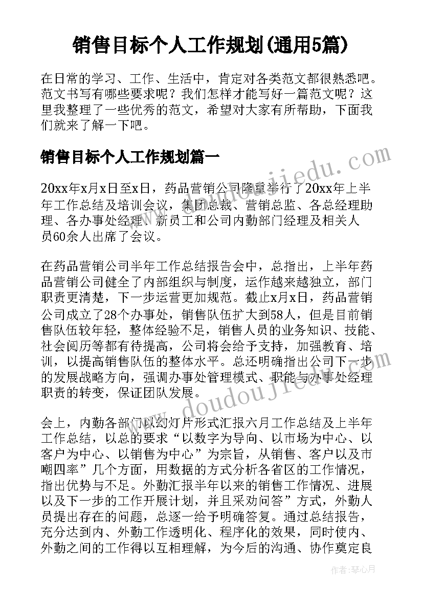 销售目标个人工作规划(通用5篇)