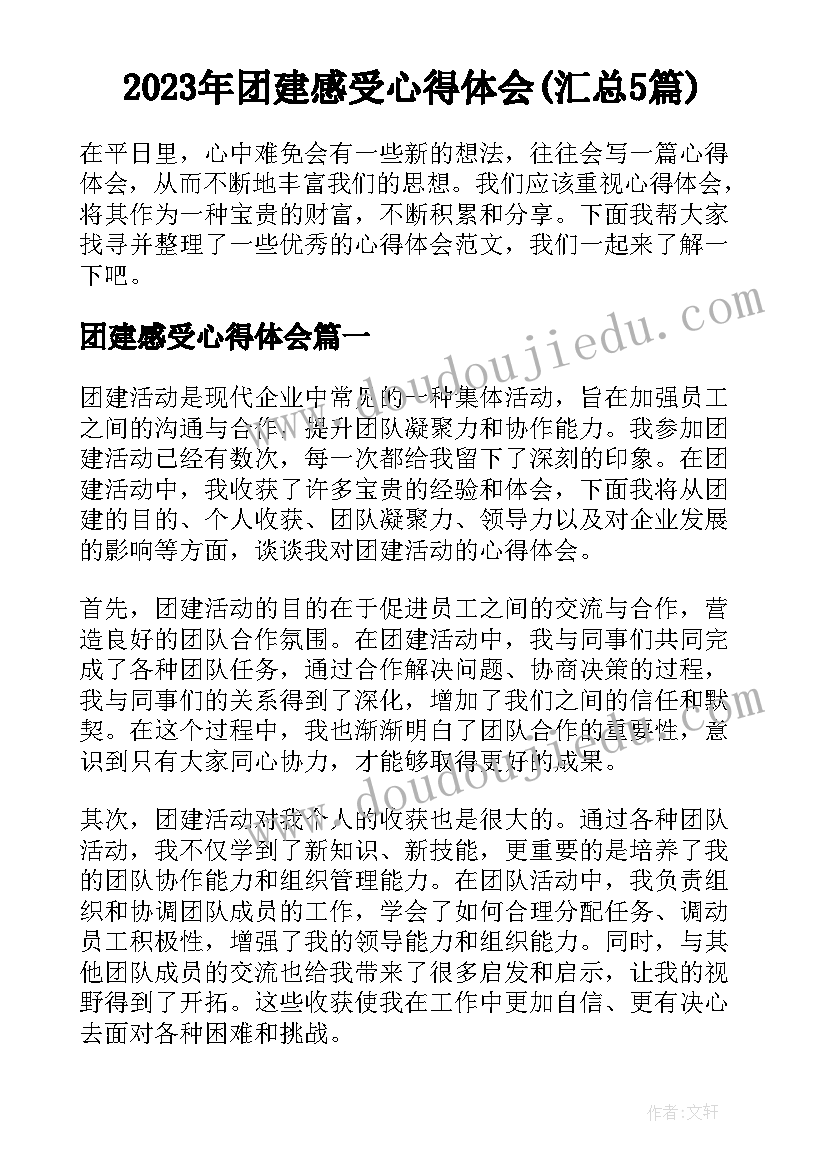 2023年团建感受心得体会(汇总5篇)