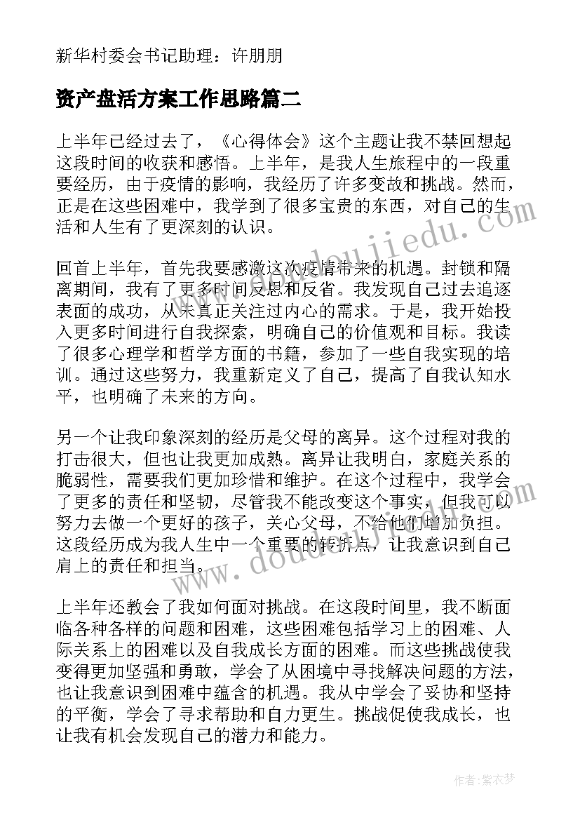 最新资产盘活方案工作思路(实用8篇)