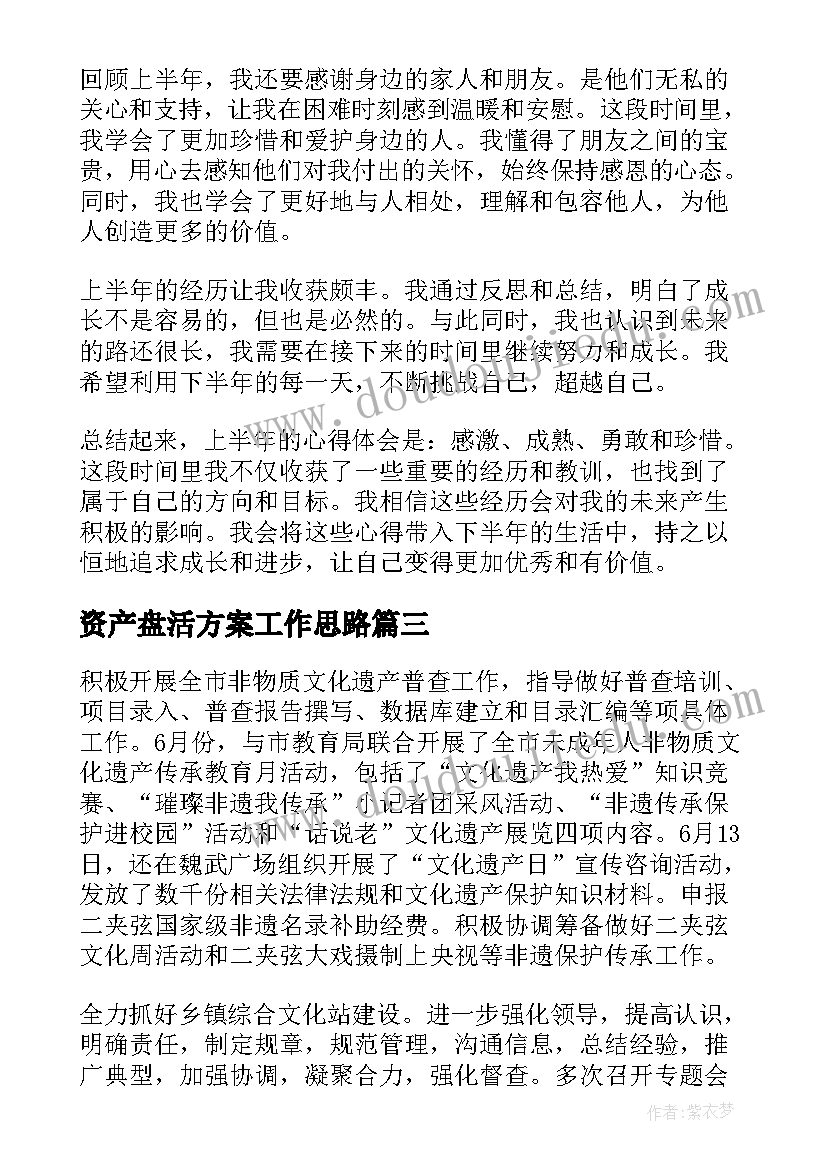 最新资产盘活方案工作思路(实用8篇)