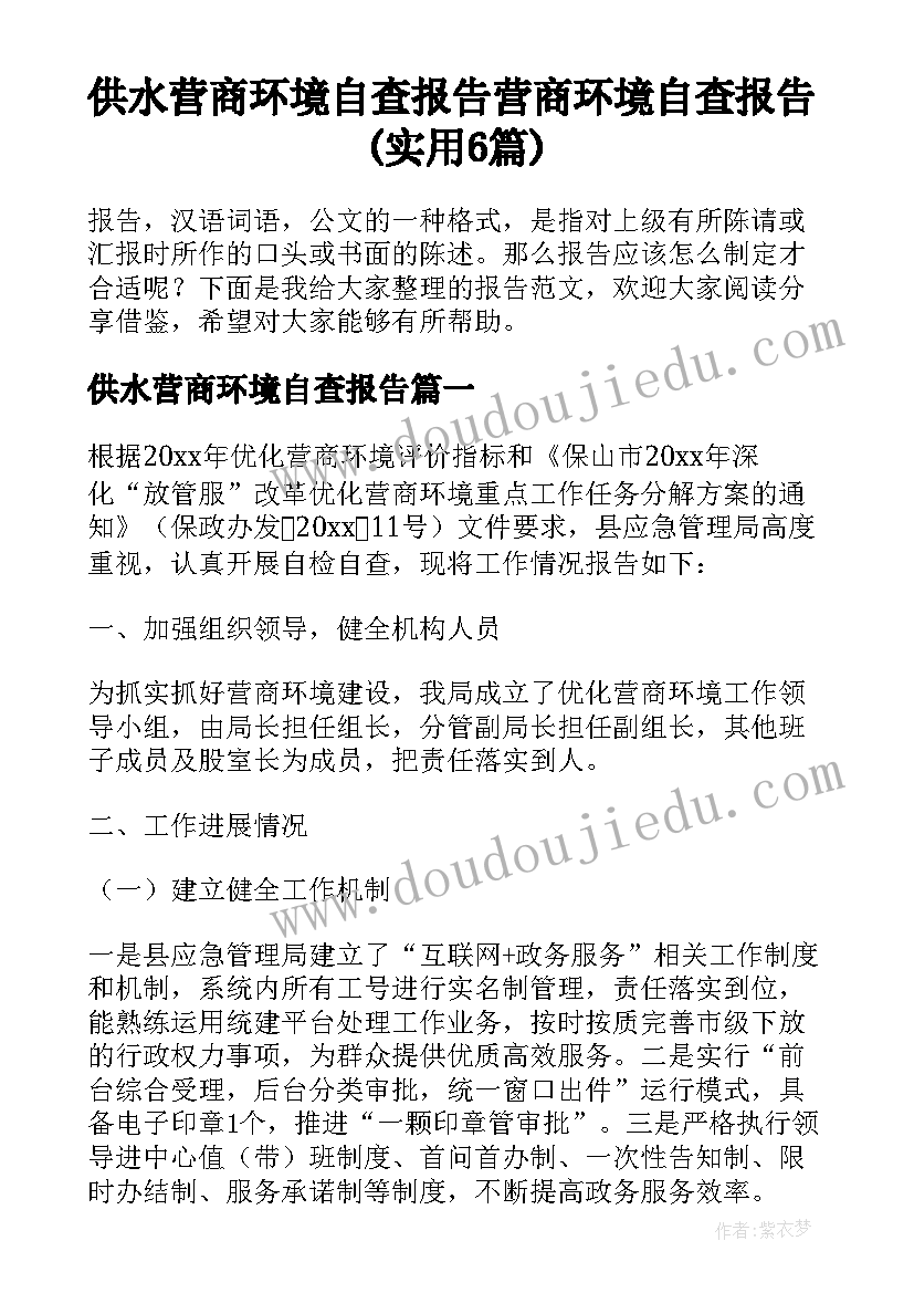 供水营商环境自查报告 营商环境自查报告(实用6篇)