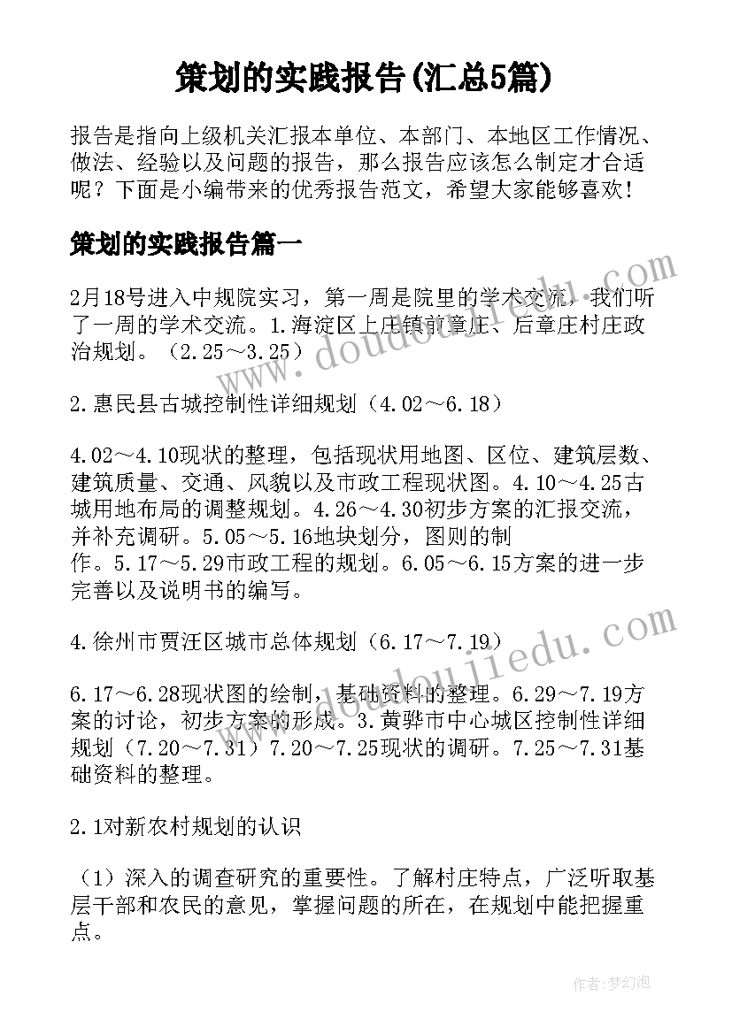 策划的实践报告(汇总5篇)