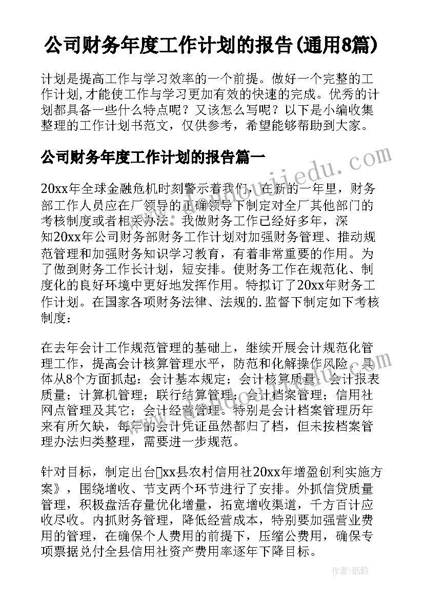 公司财务年度工作计划的报告(通用8篇)