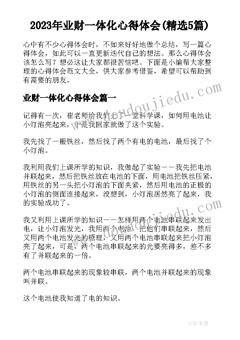 2023年业财一体化心得体会(精选5篇)