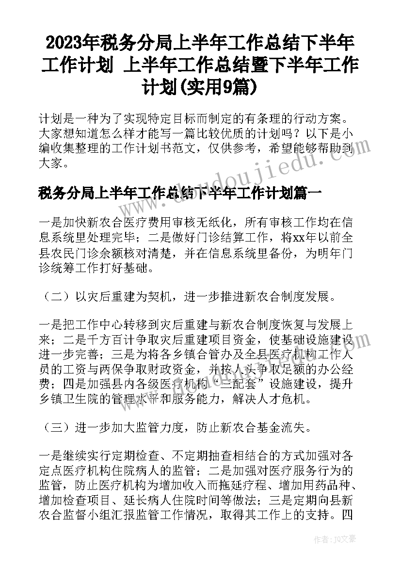 2023年税务分局上半年工作总结下半年工作计划 上半年工作总结暨下半年工作计划(实用9篇)