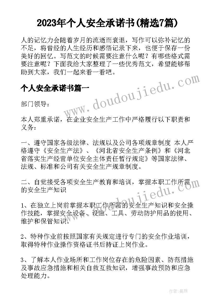 2023年个人安全承诺书(精选7篇)