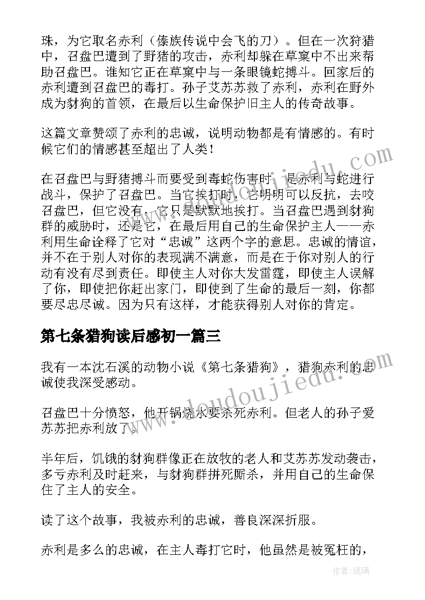 第七条猎狗读后感初一 第七条猎狗读后感(汇总6篇)