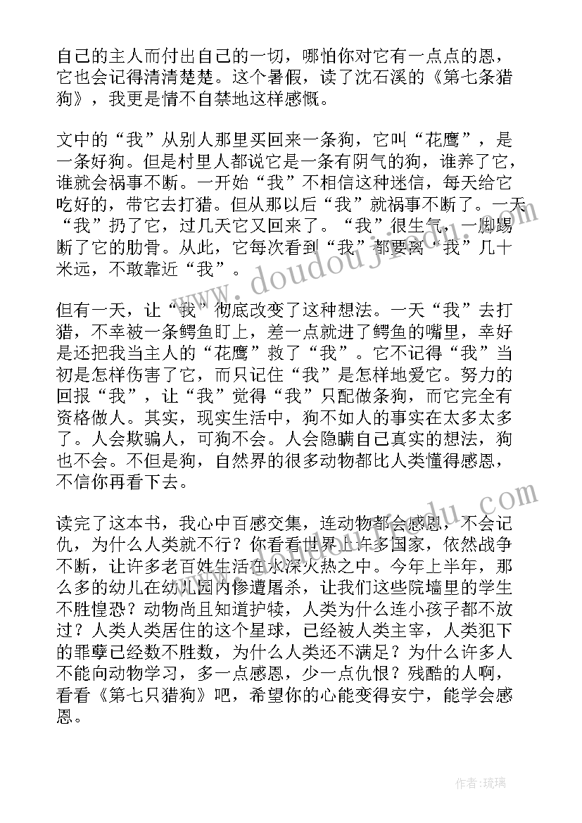 第七条猎狗读后感初一 第七条猎狗读后感(汇总6篇)