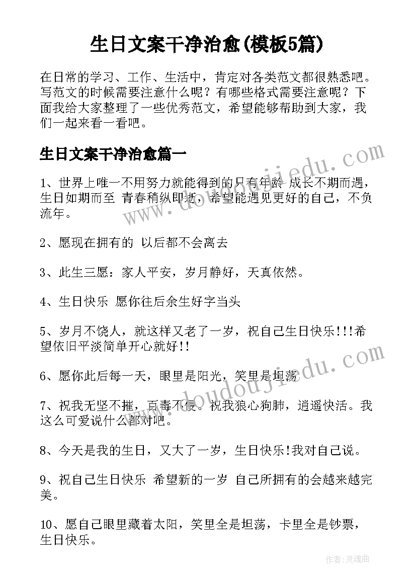 生日文案干净治愈(模板5篇)