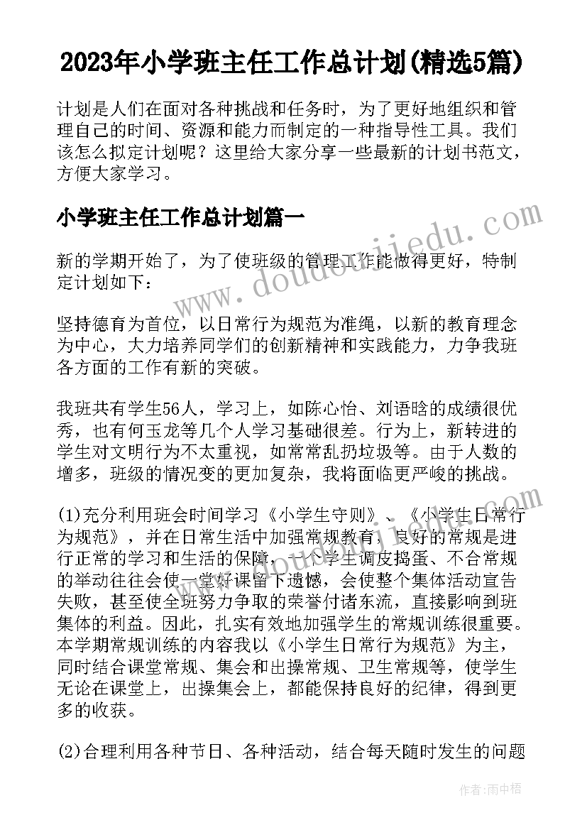 2023年小学班主任工作总计划(精选5篇)