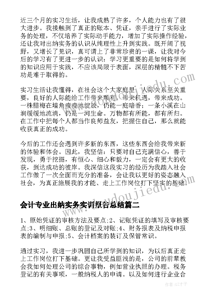 最新会计专业出纳实务实训报告总结(通用5篇)