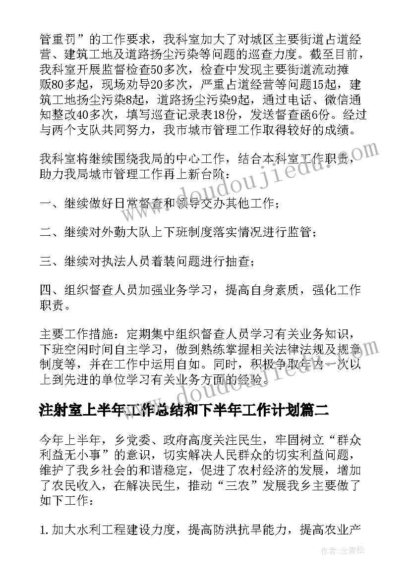 最新注射室上半年工作总结和下半年工作计划(精选7篇)