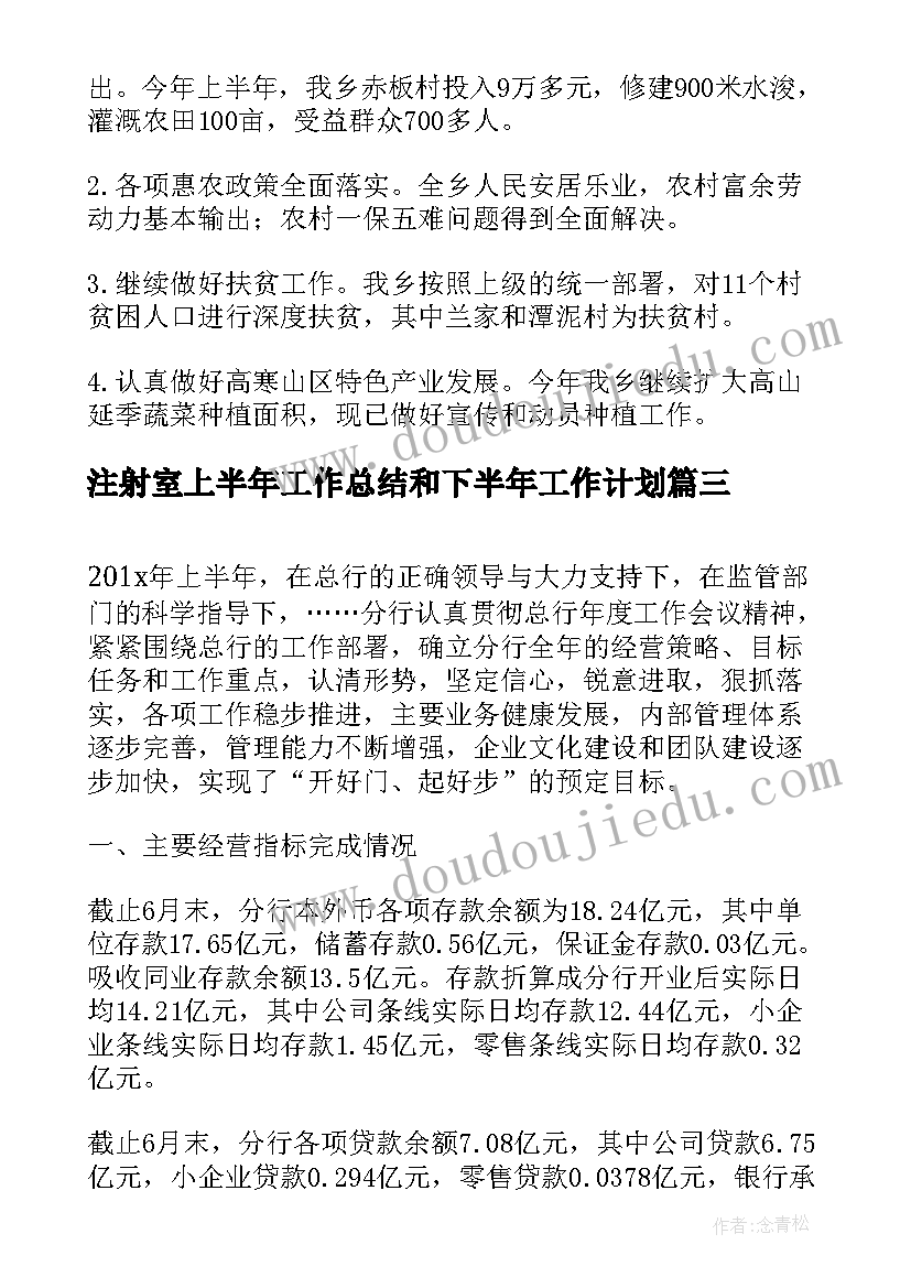 最新注射室上半年工作总结和下半年工作计划(精选7篇)