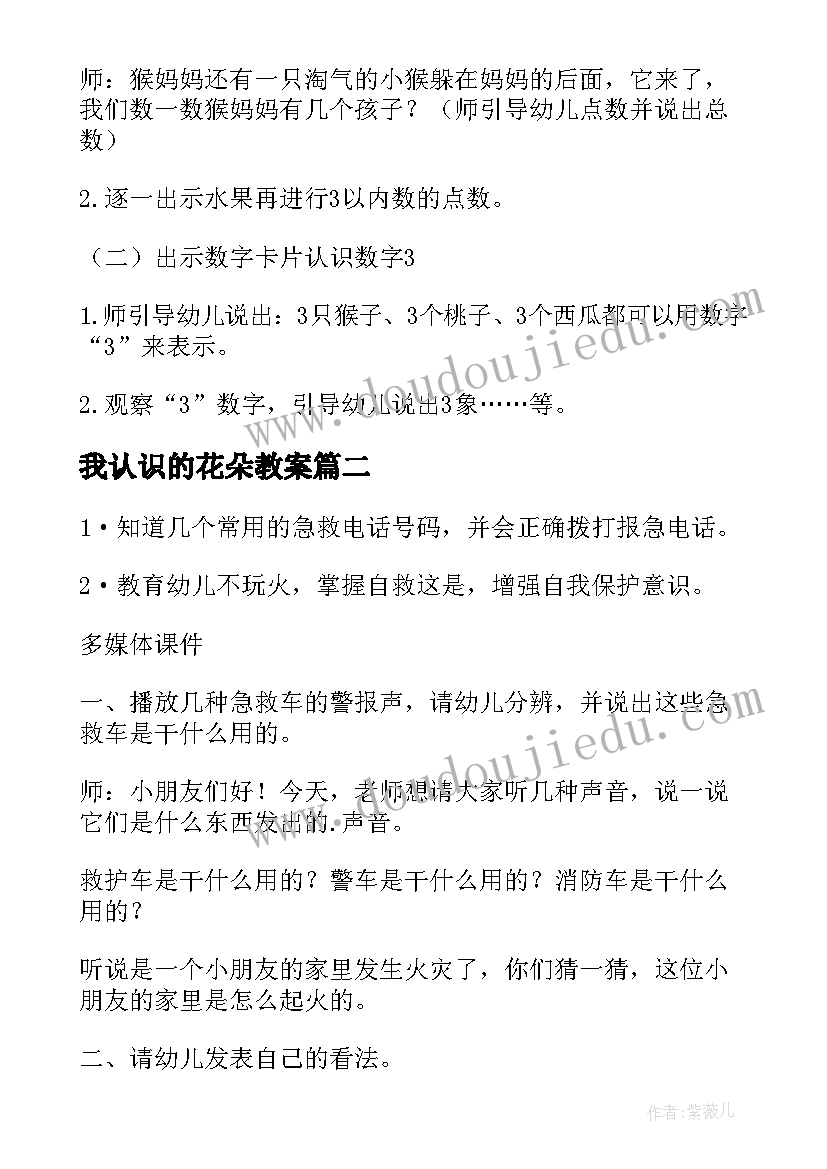 我认识的花朵教案 小班认识教案(汇总7篇)