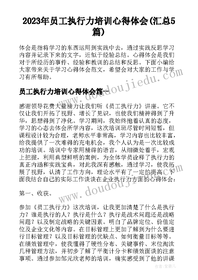 2023年员工执行力培训心得体会(汇总5篇)