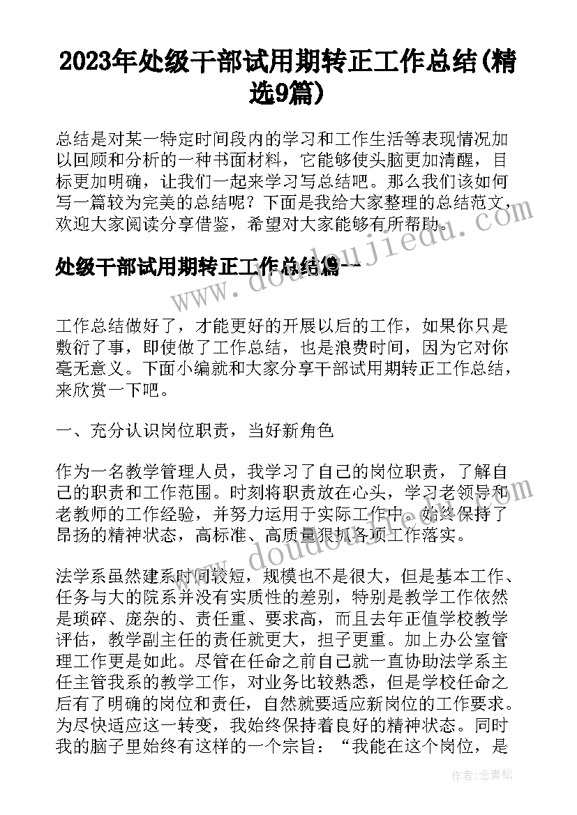 2023年处级干部试用期转正工作总结(精选9篇)