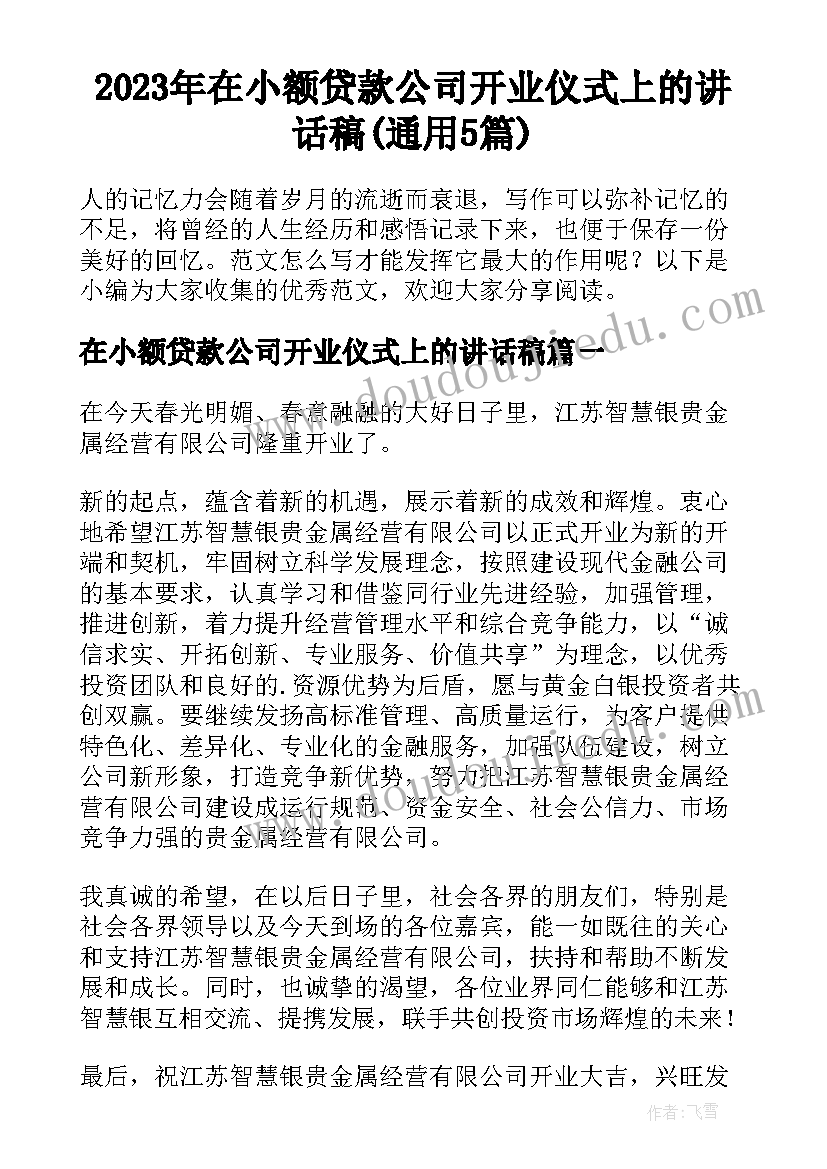 2023年在小额贷款公司开业仪式上的讲话稿(通用5篇)