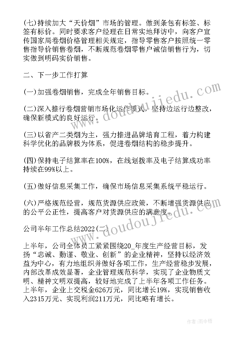 最新公司的半年总结报告(汇总6篇)