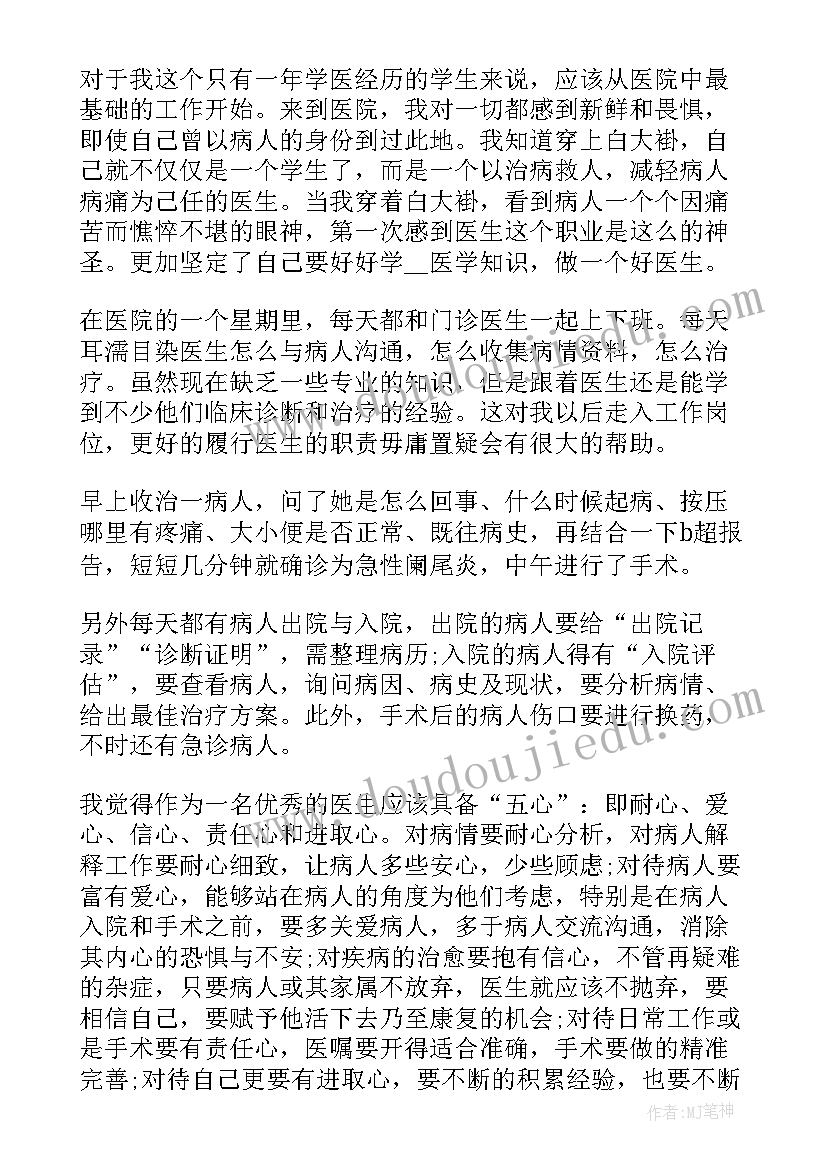 2023年实践活动个人心得体会 个人社会实践活动工作心得(精选8篇)