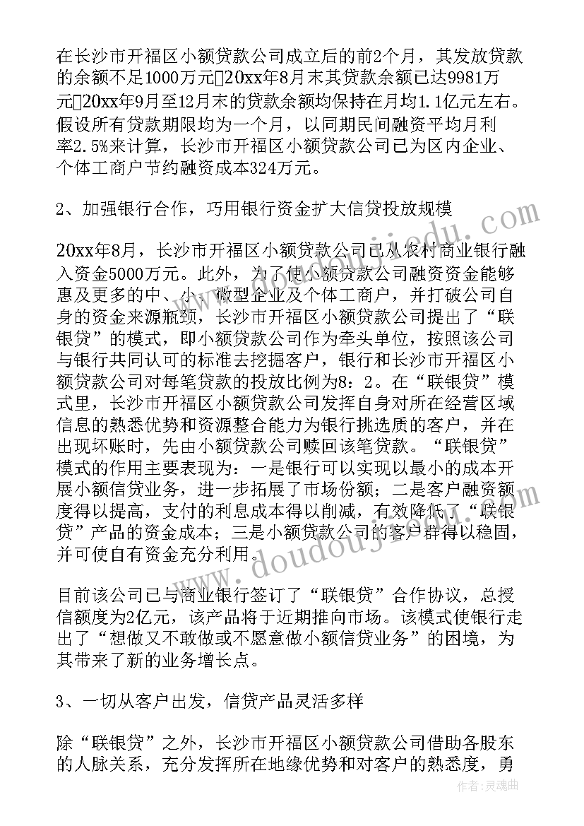 2023年小额贷款公司自查及整改报告(汇总5篇)