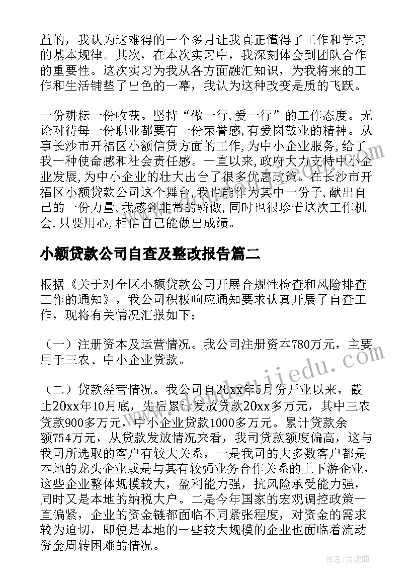 2023年小额贷款公司自查及整改报告(汇总5篇)