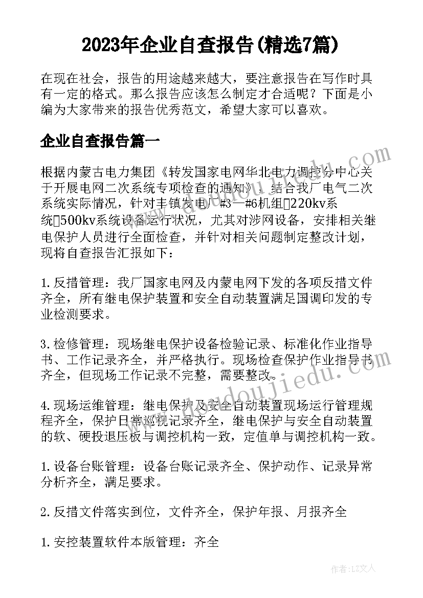 2023年企业自查报告(精选7篇)