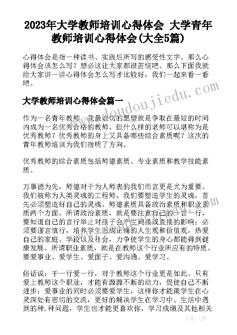 2023年大学教师培训心得体会 大学青年教师培训心得体会(大全5篇)