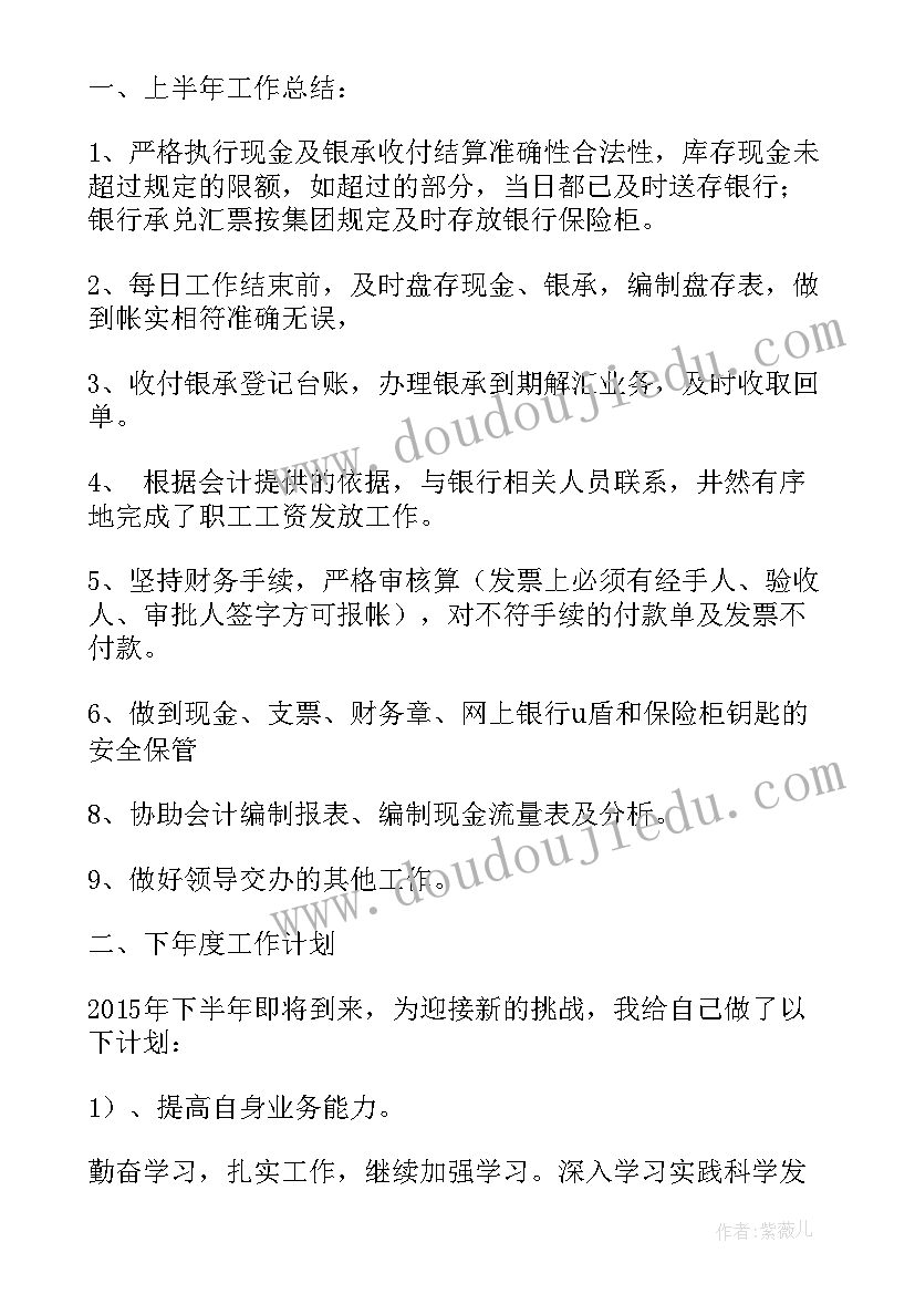 出纳上半年工作总结和下半年工作计划(模板9篇)